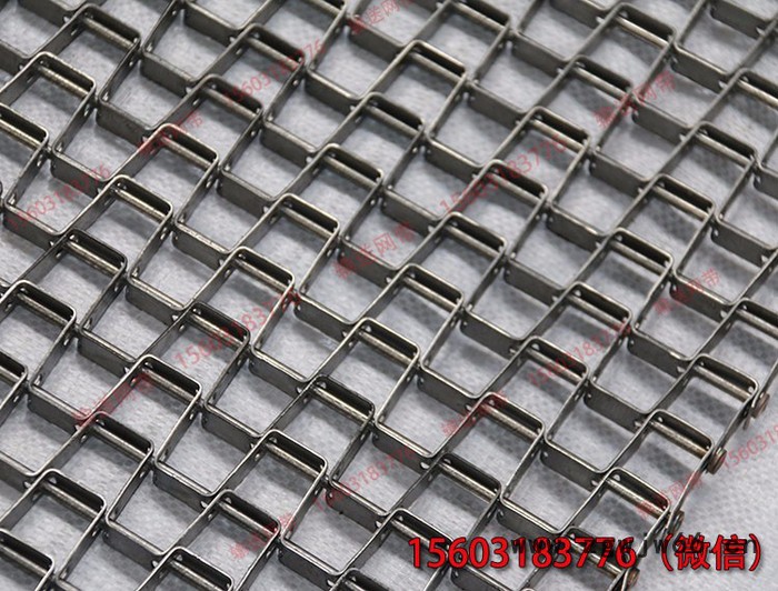 长城网带  厂家现货  马蹄链   输送果蔬类食品 金属网带图3