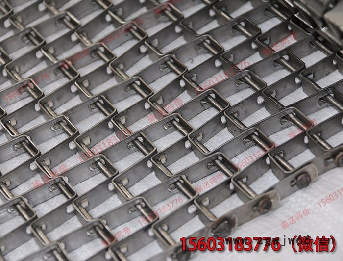 长城网带  厂家现货  马蹄链   输送果蔬类食品 金属网带图4