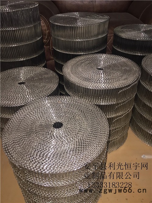 河北金属网带 **加工定制 304不锈钢网链输送带 食品输送网带图2