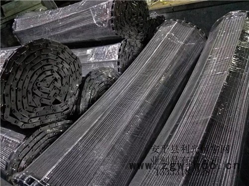 河北金属网带 **加工定制 304不锈钢网链输送带 食品输送网带图4
