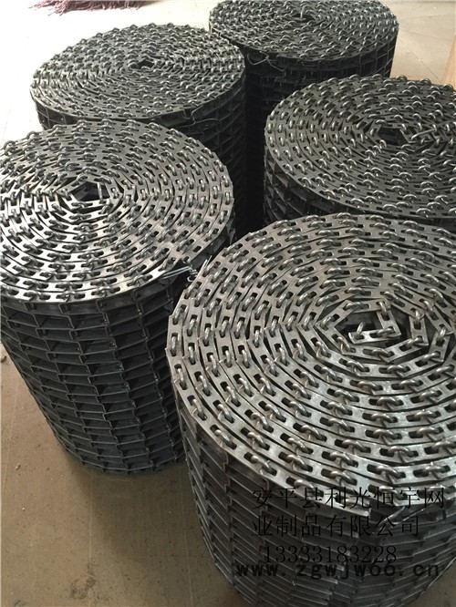 河北金属网带 **加工定制 304不锈钢网链输送带 食品输送网带图5