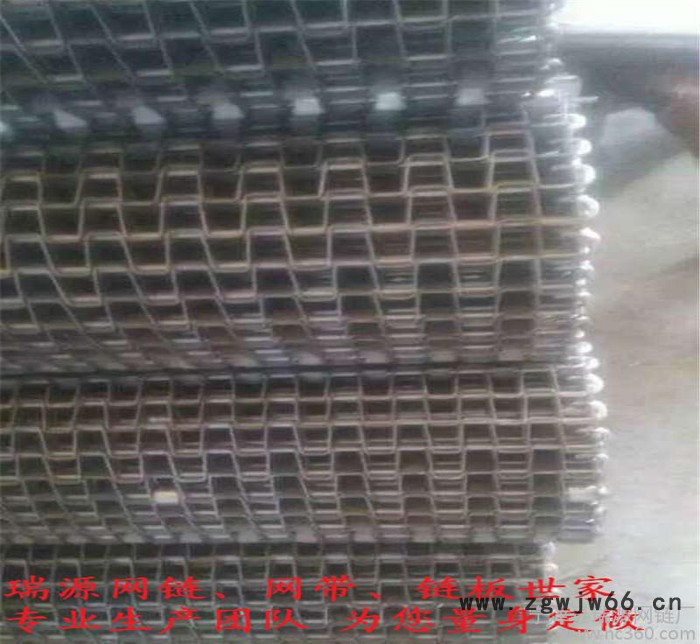 **全国 金属网带 304不锈钢网链 速冻机网带 规格 保证质量图3