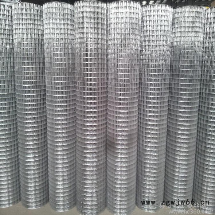 供应——金属网/过滤网/铁丝网 电焊网/电焊网片图2