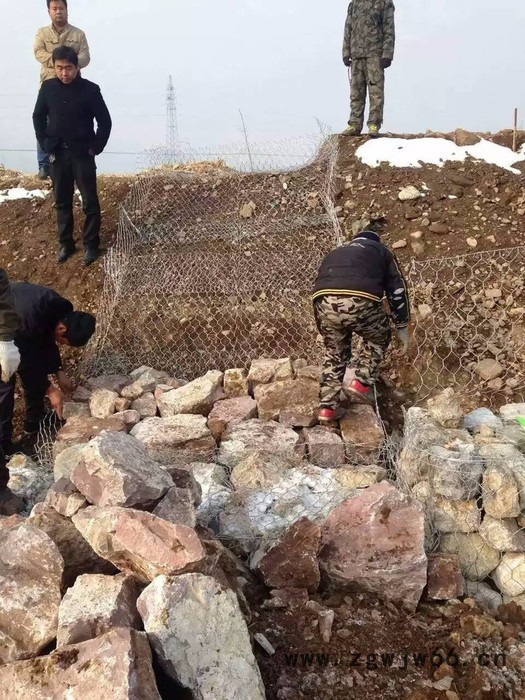 石笼网厂家专业生产 石笼网 包塑石笼网 镀锌石笼网 其他金属网图4