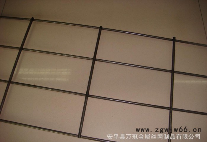 **建筑电焊网片 铁丝金属网 钢丝地暖地热网图2