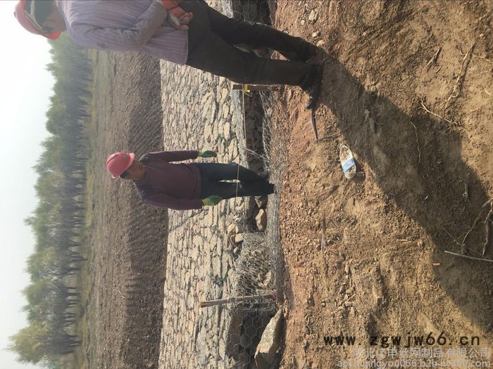 高锌镀锌丝石笼网 六角网规格 高尔凡丝石笼网厂家 出厂快 效率高 其他金属网