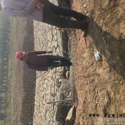 高锌镀锌丝石笼网 六角网规格 高尔凡丝石笼网厂家 出厂快 效率高 其他金属网