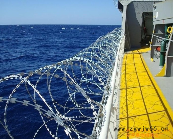 河北华久刺丝滚笼型防护网，金属网片防护栅栏图4