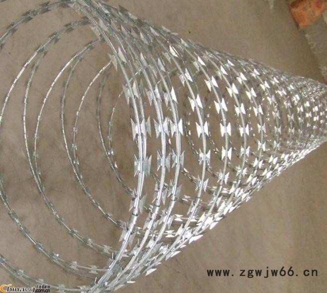 河北华久刺丝滚笼型防护网，金属网片防护栅栏图3