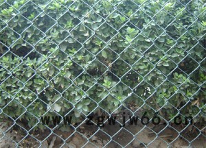 厂家专业生产勾花网、护栏网、小区护栏、高速公路铁路护栏  安平县德明金属网业有限公司图3