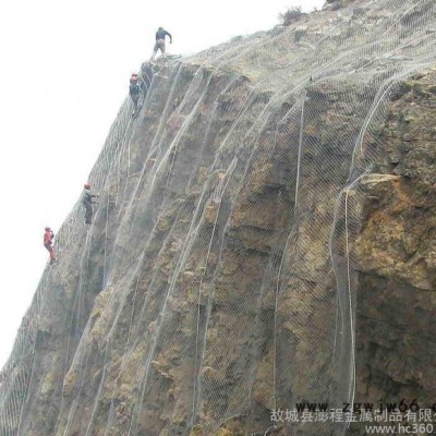 主动防护网_SNS边坡防护网_澎程金属网制造有限公司