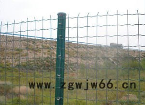 安平县德明金属网业专业生产**荷兰网、勾花网、小区护栏网、隔离栅图3