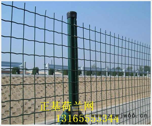 正基玉米网 金属网 荷兰网 围栏网 养鸡网 波浪防护网 小区防护网图5