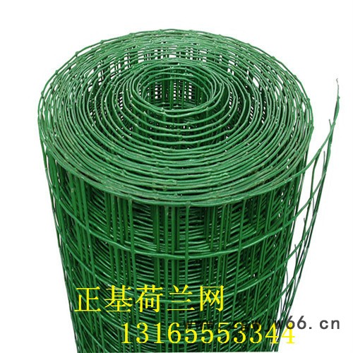 正基玉米网 金属网 荷兰网 围栏网 养鸡网 波浪防护网 小区防护网图4
