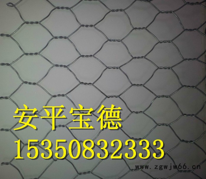 边坡加固网 双绞和六边形金属网图2