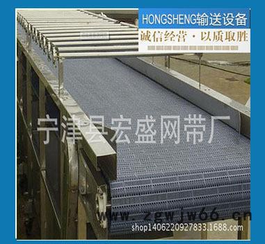 金属网带输送机 新技术型号规格网带输送机图2