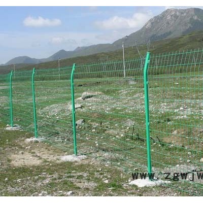 国内供应护栏网荷兰网养殖围网成林金属网上