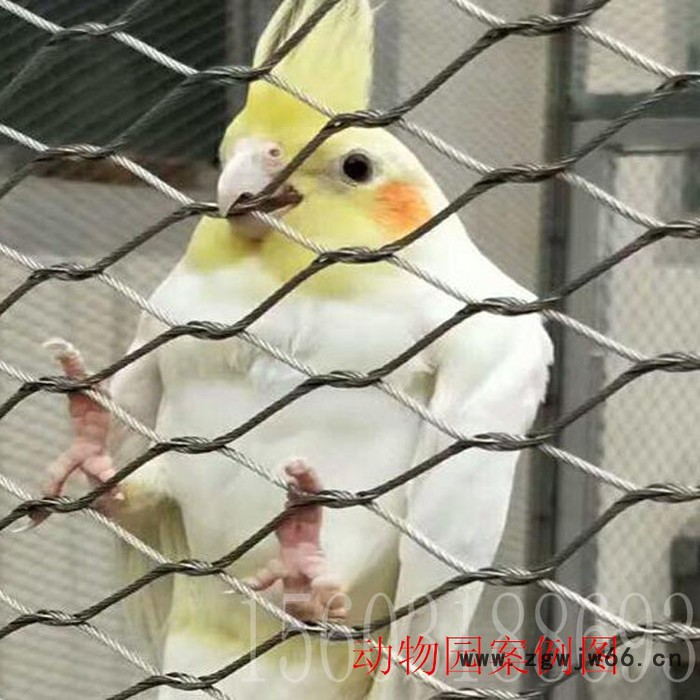 乾卓幼儿园防护网 防止人掉落安全金属网隐形防护网 马戏团围栏防护网图5