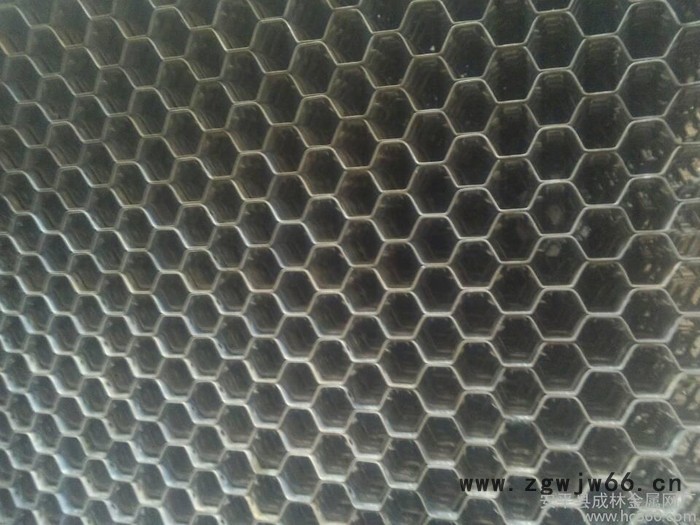 供应成林金属网龟甲网低碳耐高温龟甲网立体六边网图3
