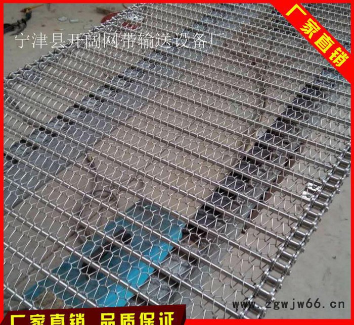 直销不锈钢输送网带 金属网链  欢迎来电图3