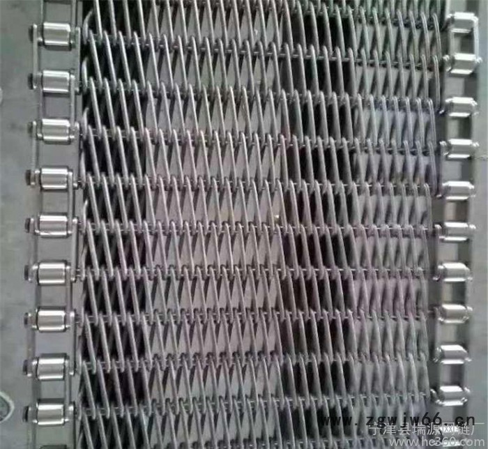 【宁津输送机设备实力】生产金属网带 链片式网带图2