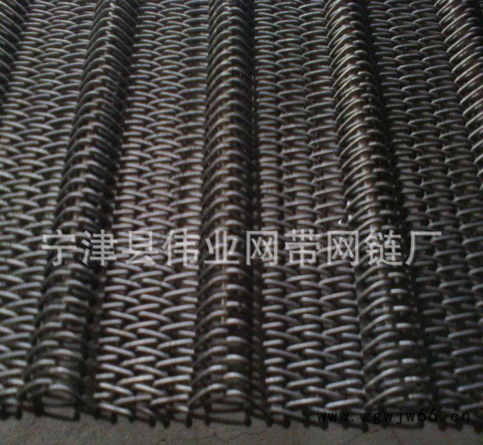 低价直销金属网带 镀锌网带 扁丝网网带 宁津网带图2