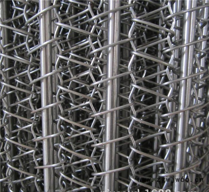 低价不锈钢网带 食品网带 金属网带图3