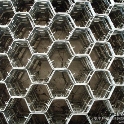 供应佳盛加工定做龟甲网   金属网   镀锌网