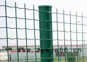 厂家专业生产荷兰网、防护网、小区护栏、防护网  低价销售  安平德明金属网业有限公司图2