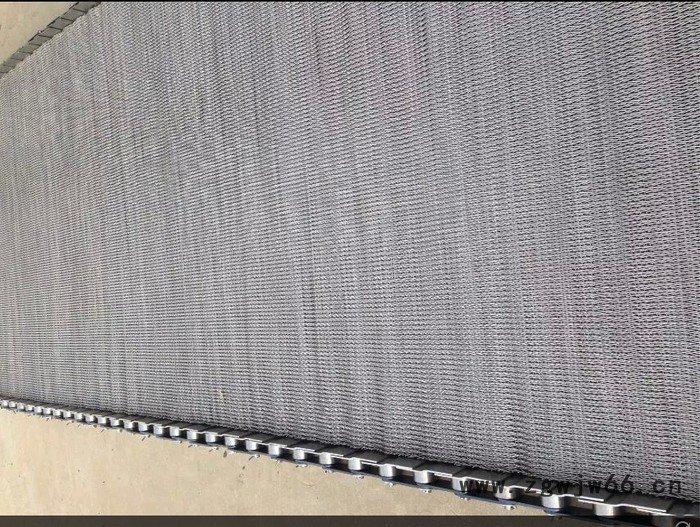 304不锈钢金属网带  输送网带  食品输送网带  饼干输送网带 油炸食品网带 齿轮图7