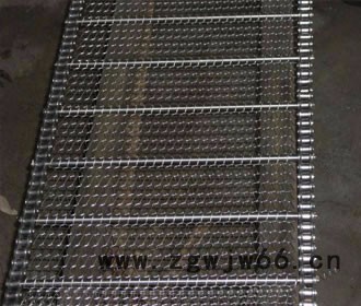 304不锈钢金属网带  输送网带  食品输送网带  饼干输送网带 油炸食品网带 齿轮图3