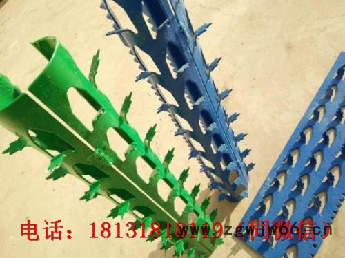 **防爬刺钉刀刺滚笼刀片刺绳安全防护墙体装饰美观大方金属网金刚网图5