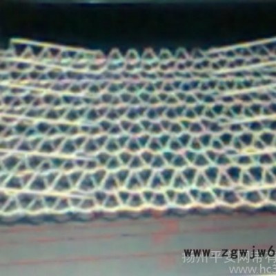 太阳能烧结炉炉带 CT炉带 CT网带 despatch网带 烧结炉支架网带 高温合金金属网带  金属过滤烘干网