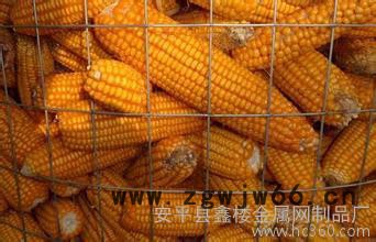 供应安平鑫楼金属网制品厂5cm*5cm*1.5m*230丝玉米专用厂家图3