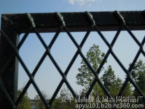 微形小钢板网金属网不锈钢网菱形网片铁网加工**图4