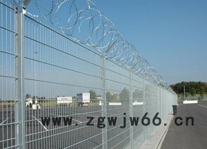 安平县德明金属网业有限公司专业生产机场、军管区安全防护网、小区护栏网、荷兰网、勾花网图3