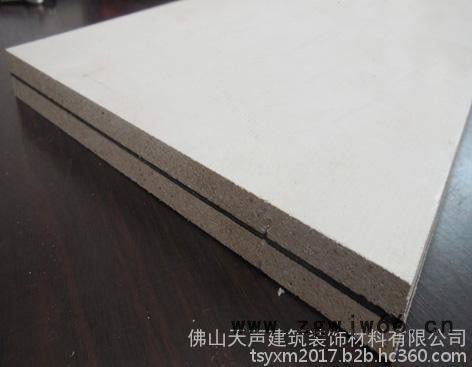 天声TS-16宾馆 隔音板 杭州室内隔音材料图2