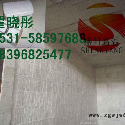 耐高温保温材料陶瓷纤维模块隧道窑专用棉1
