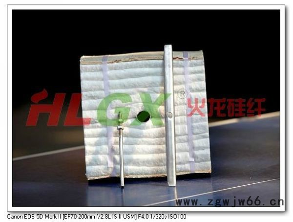 火龙硅纤保温/隔热材料/陶瓷纤维模块专注生产炭素窑保温材料图2