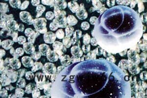 国内保温砂浆批发 EVB保温隔热砂浆 保温材料品牌图2