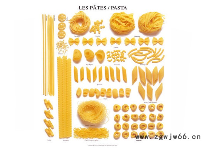 济南盛润机械DLG-100  意面通心粉生产线 通心粉加工设备 通心粉模具图7