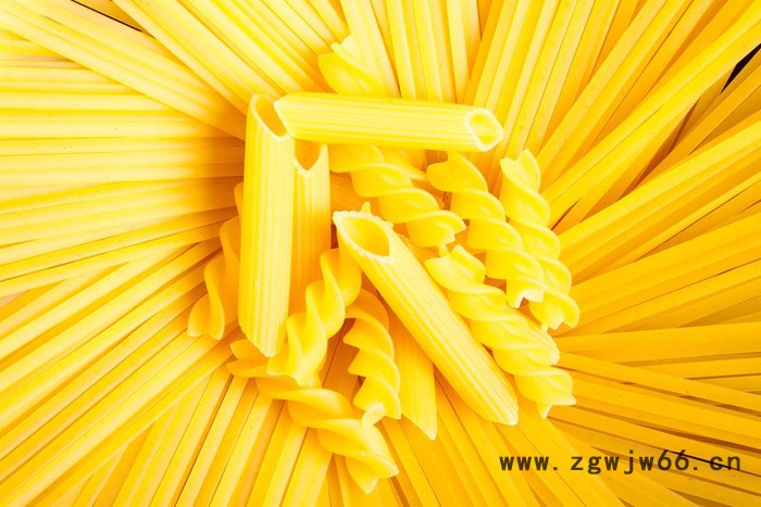 济南盛润机械DLG-100  意面通心粉生产线 通心粉加工设备 通心粉模具图4