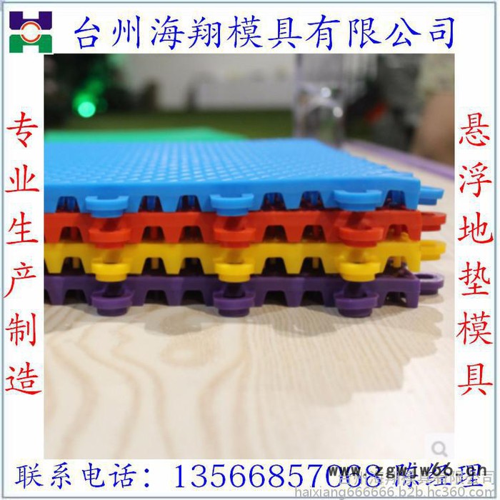 台州海翔模具 日用品模具地垫模具 可定制加工图2