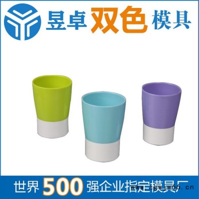 珠海双色模具注塑加工