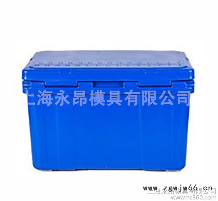 加工定做滚塑冷藏保温箱模具 户外野餐钓鱼冷藏箱 车载冷冻食其图2