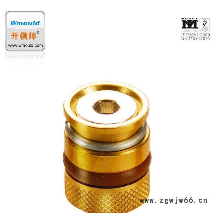 【开模师】止水栓DTW 冷却系列 模具止水配件 模具标准件非标来图加工图1