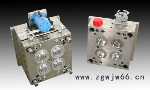 供应长安双色塑胶模具 仪器仪表双色模具加工图2