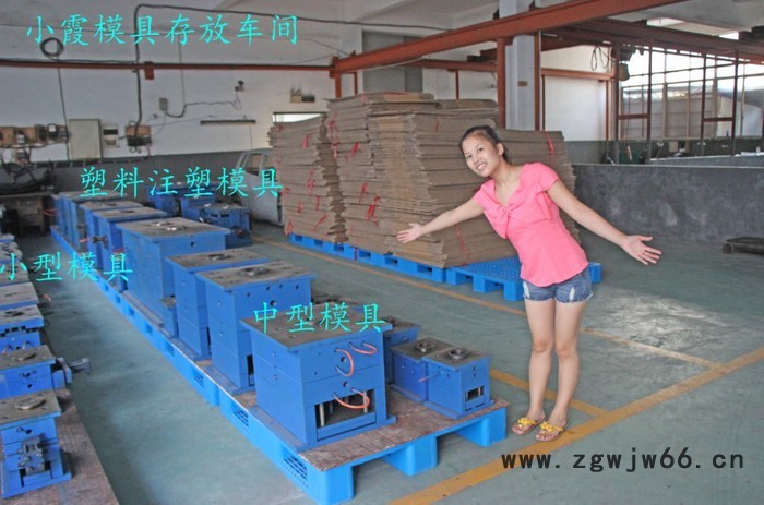 台州模具 黄岩加工奔驰G级车汽配面罩注塑模具 汽配大灯注塑模具 汽车塑料模具 汽车塑胶模具 汽车注塑模具制造商地址图7