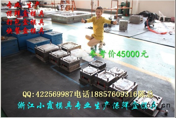 高端550毫升保鲜盒模具 500毫升保鲜盒模具 一次性塑料保鲜碗模具加工图4