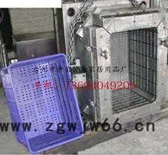 加工定制塑料蓝莓蓝模具 注塑蔬菜筐模具图3
